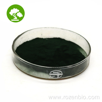 Top Quality Natural Nannochloropsis Powder